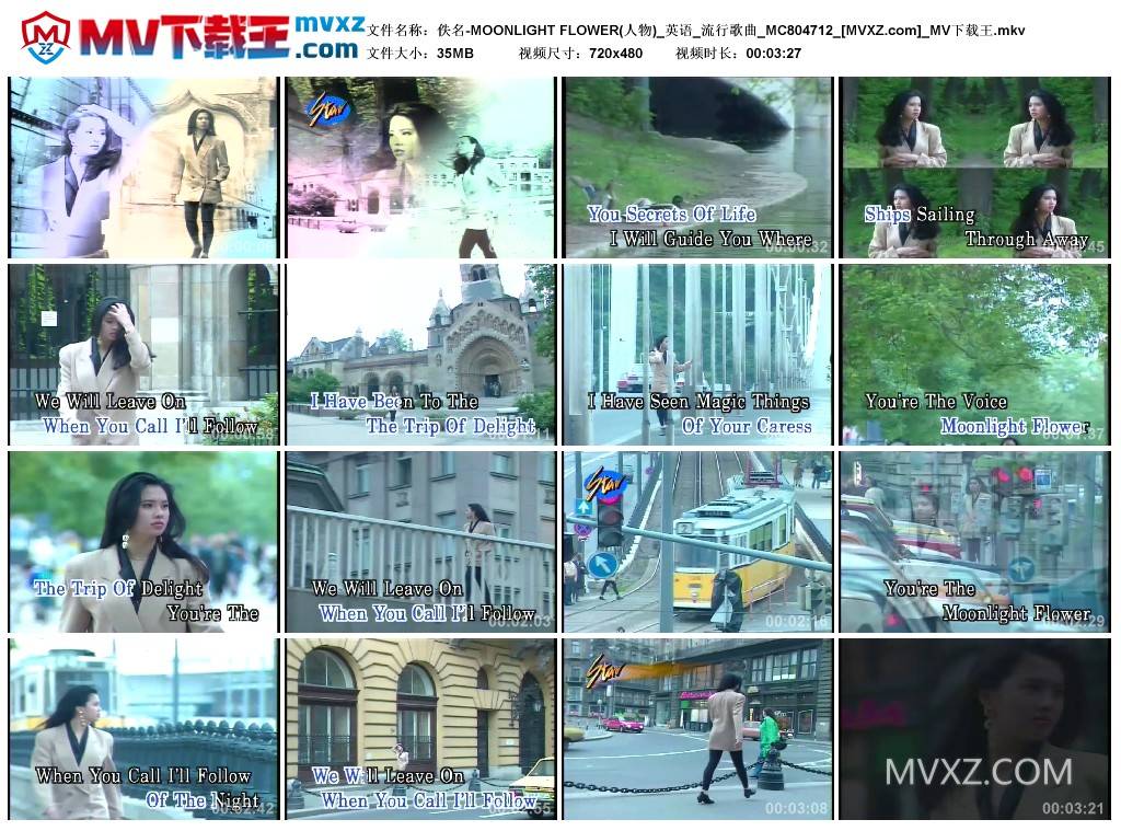 佚名-MOONLIGHT FLOWER(人物)_英语_流行歌曲_MC804712